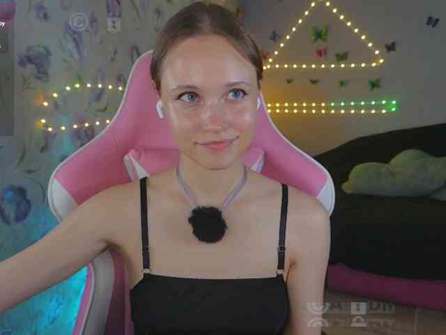 Armura webcam