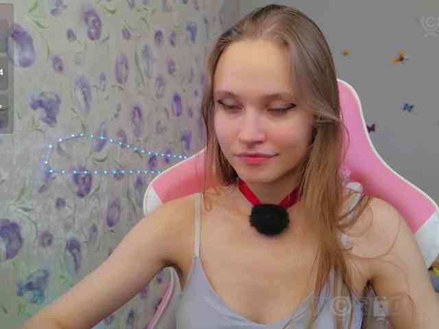 Armura webcam