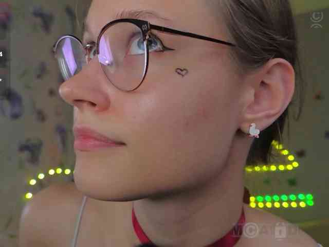 Armura webcam
