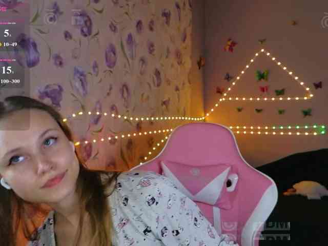 Armura webcam