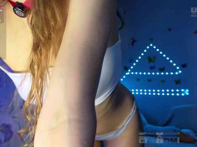 Armura webcam