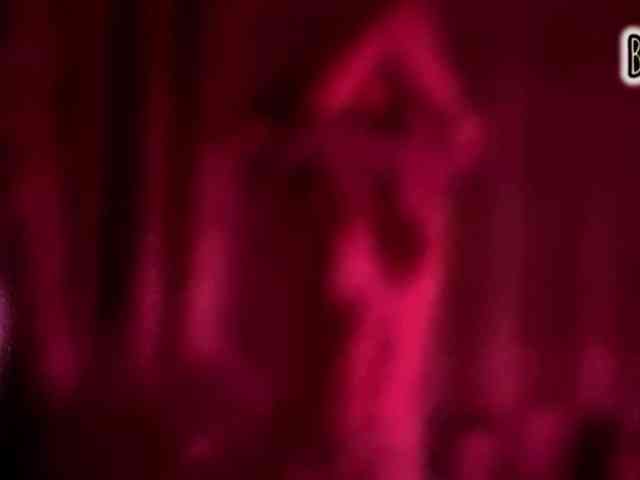 Armura webcam