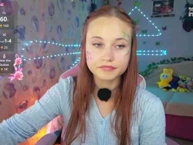 Armura webcam