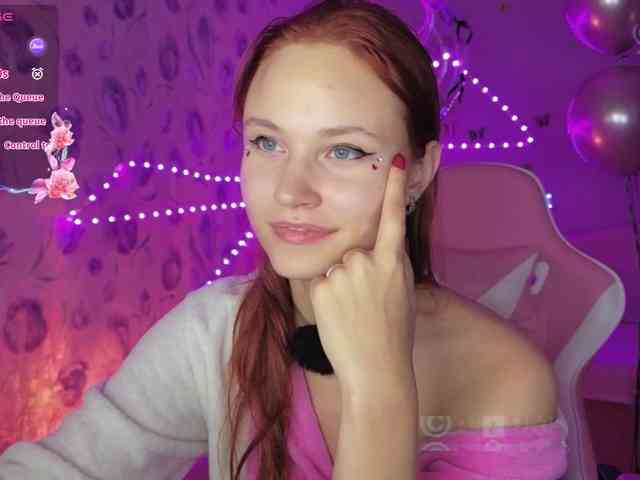 Armura webcam