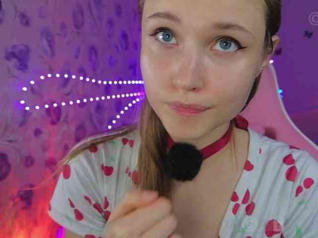 Armura webcam