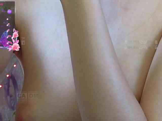 Armura webcam