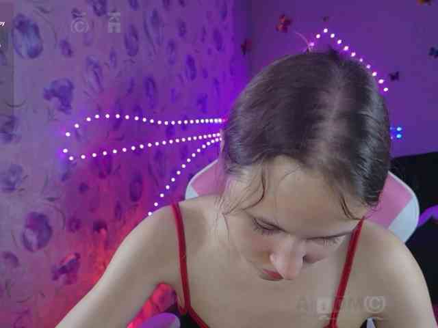 Armura webcam