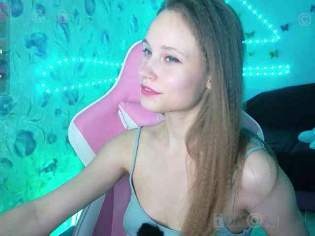 Armura webcam