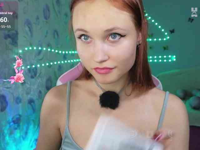 Armura webcam