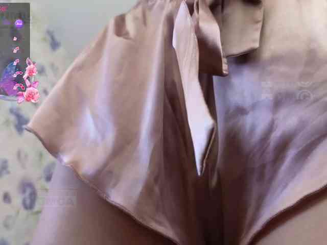 Armura webcam