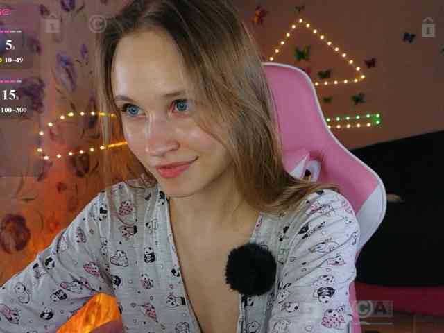 Armura webcam