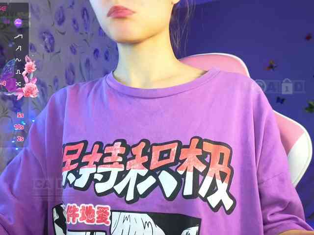 Armura webcam
