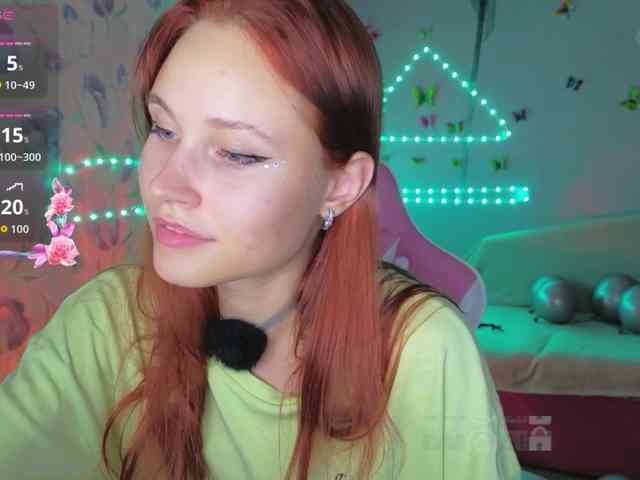 Armura webcam