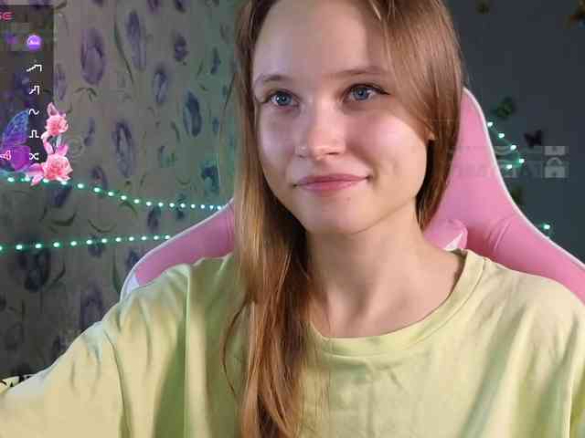 Armura webcam