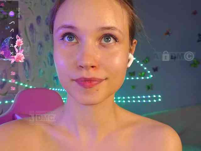 Armura webcam