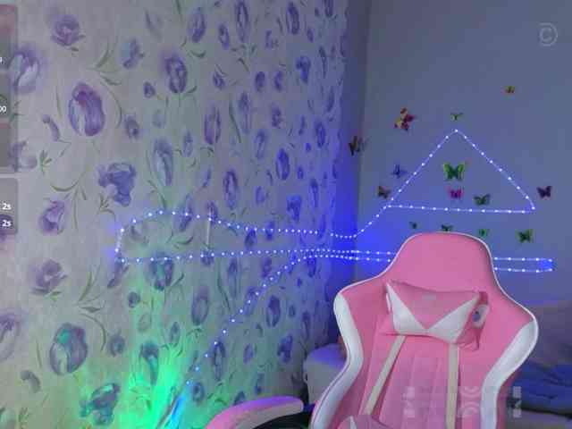 Armura webcam