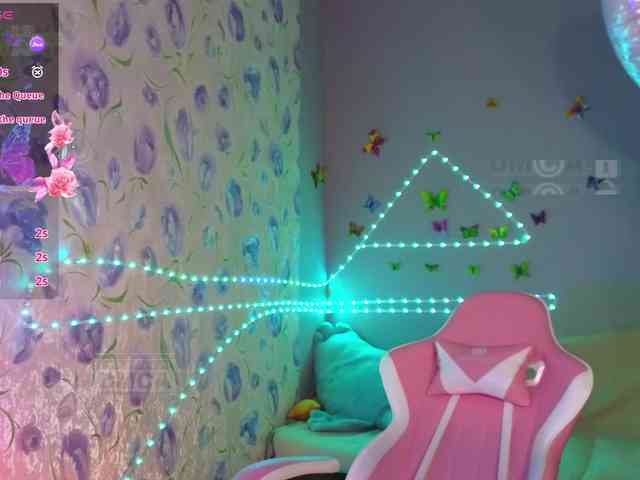 Armura webcam