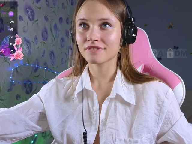 Armura webcam