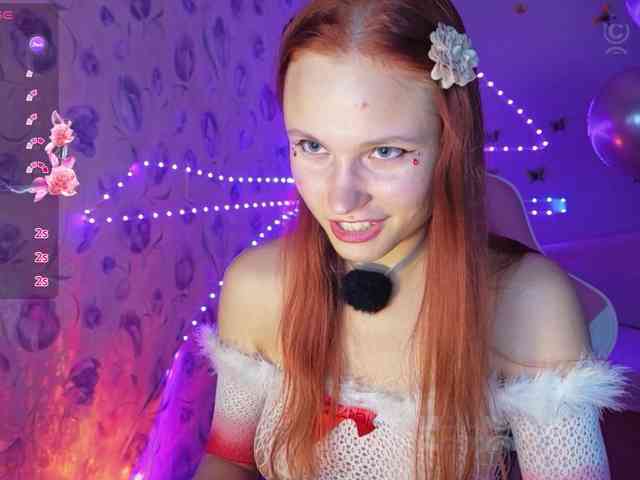 Armura webcam