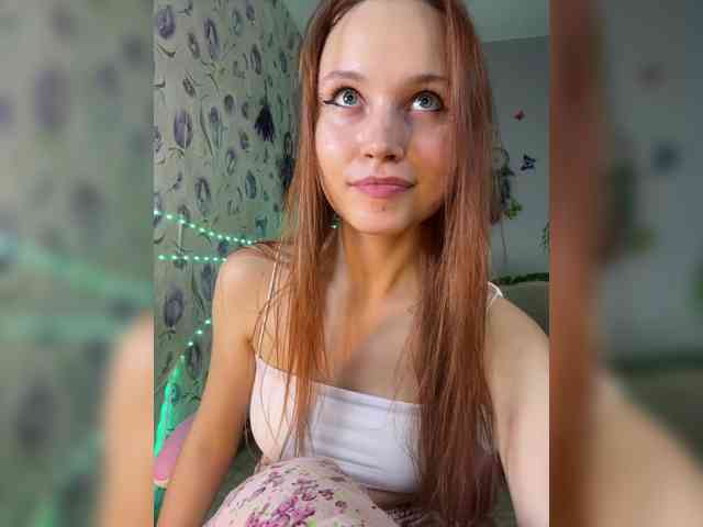 Armura webcam
