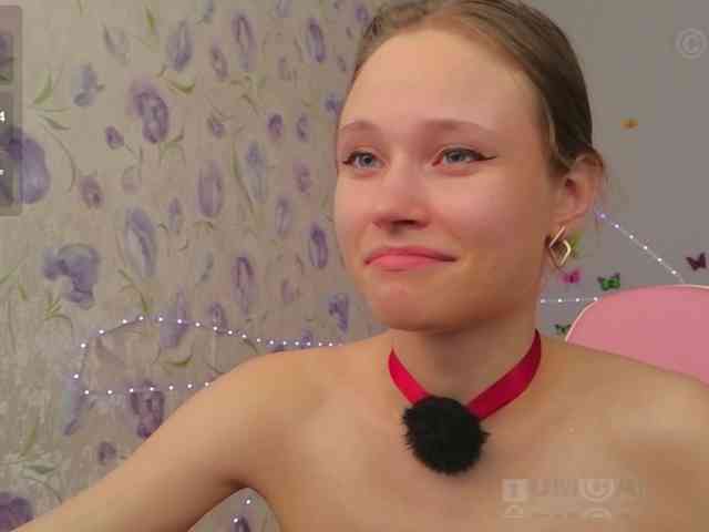 Armura webcam