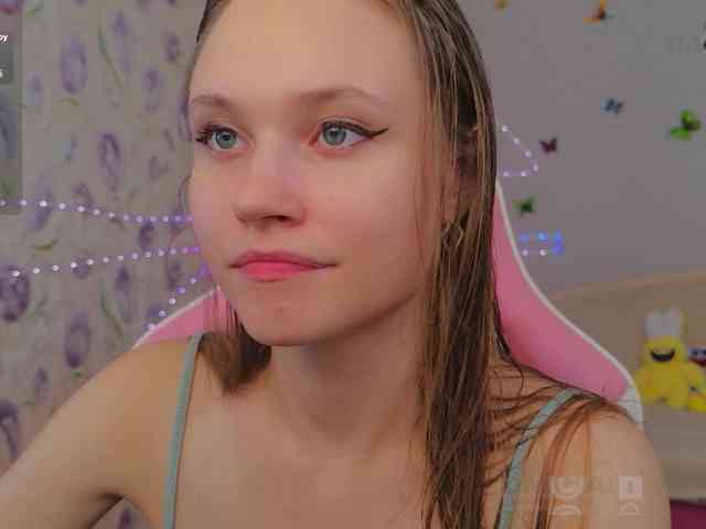 Armura webcam