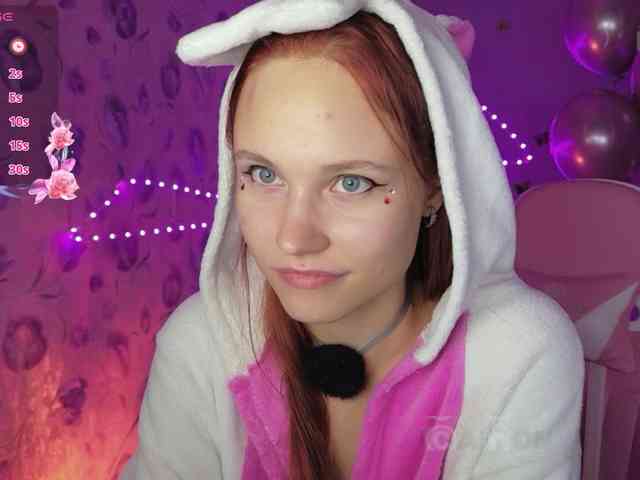 Armura webcam
