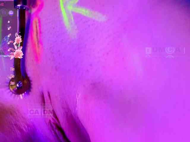 Armura webcam