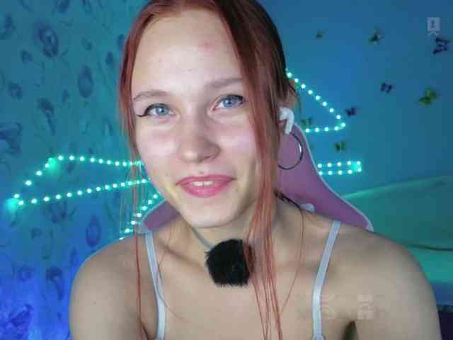 Armura webcam