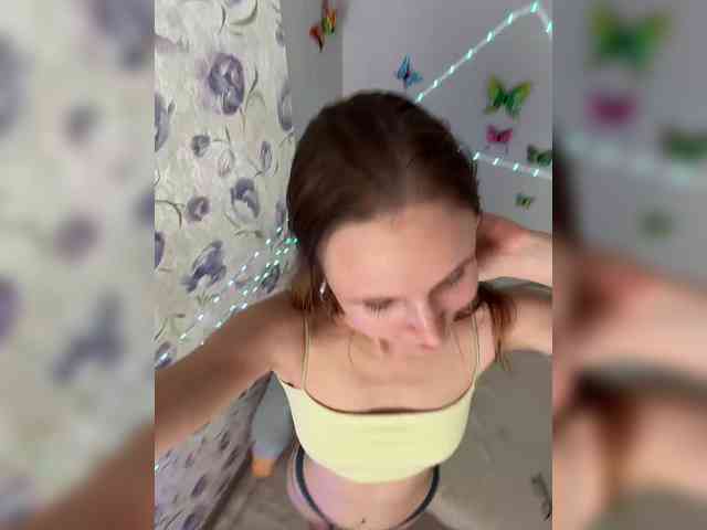 Armura webcam
