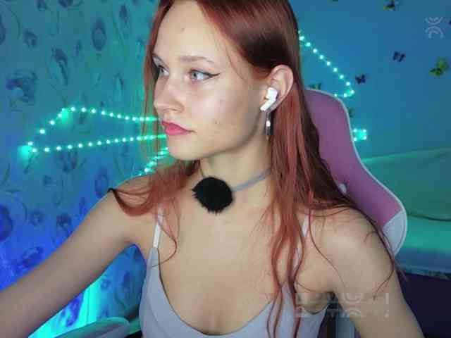 Armura webcam