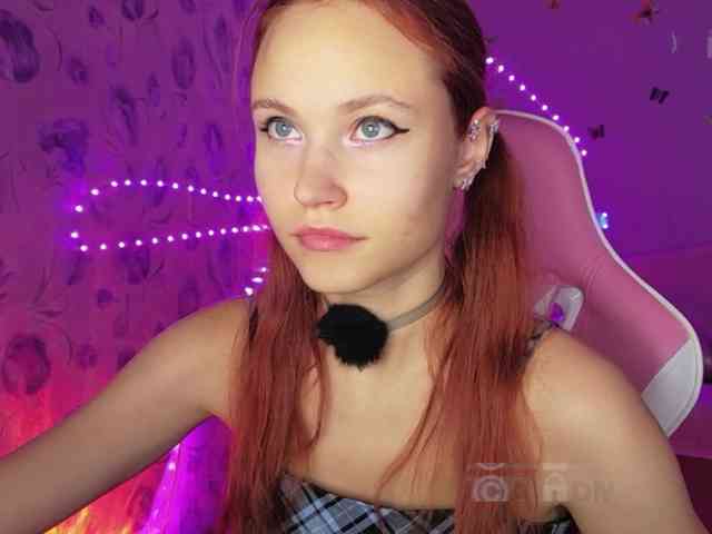 Armura webcam