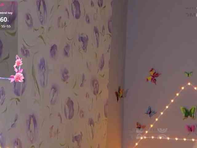 Armura webcam