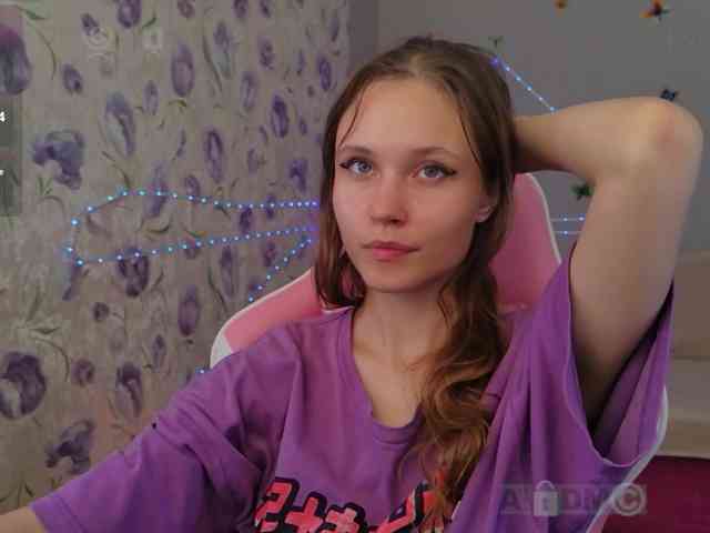 Armura webcam