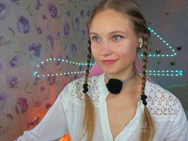 Armura webcam