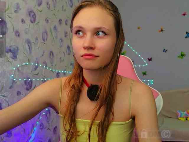 Armura webcam