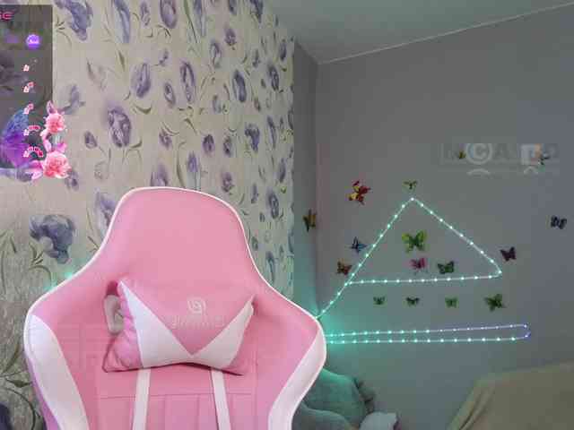 Armura webcam