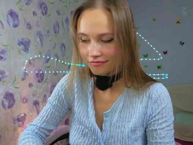 Armura webcam
