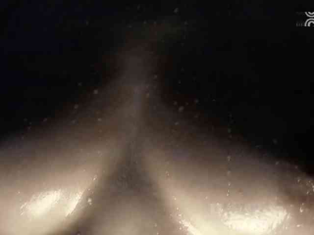 Armura webcam