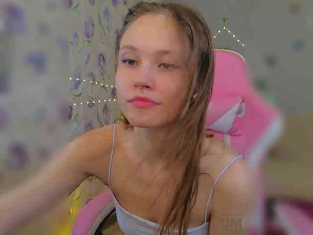 Armura webcam