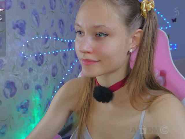 Armura webcam