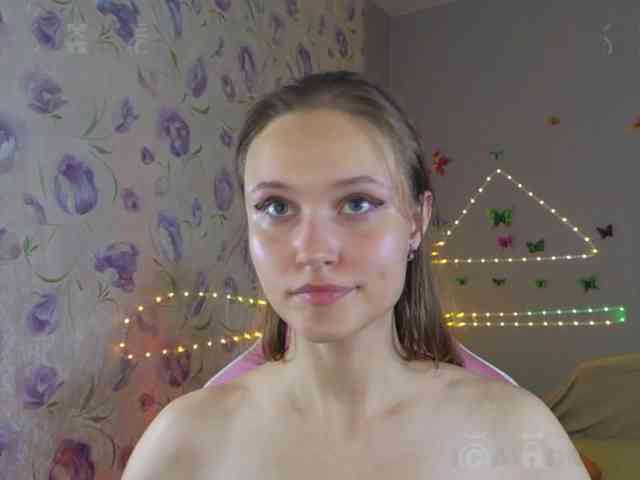 Armura webcam