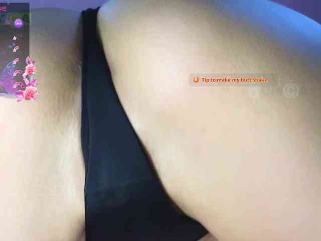 Armura webcam