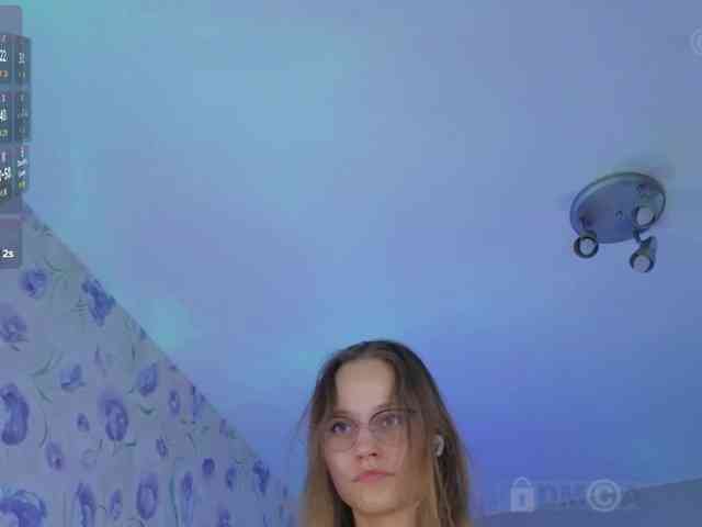 Armura webcam