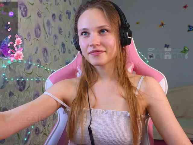 Armura webcam