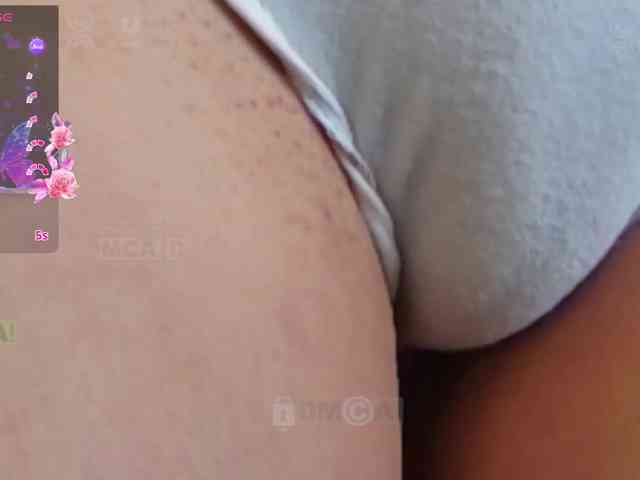 Armura webcam