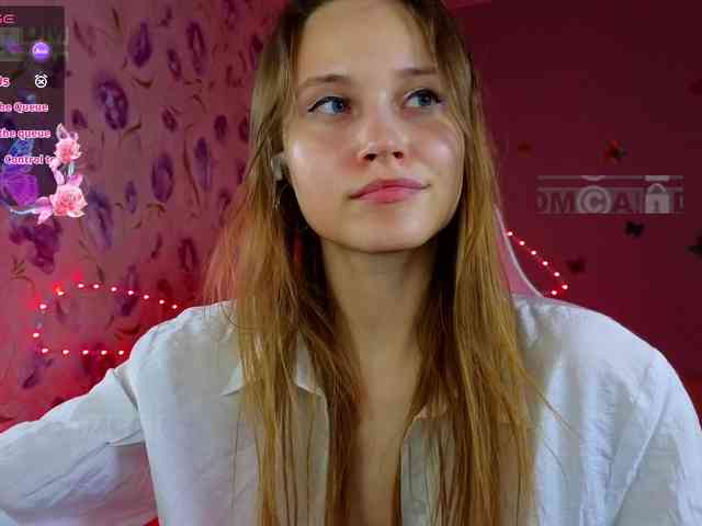 Armura webcam