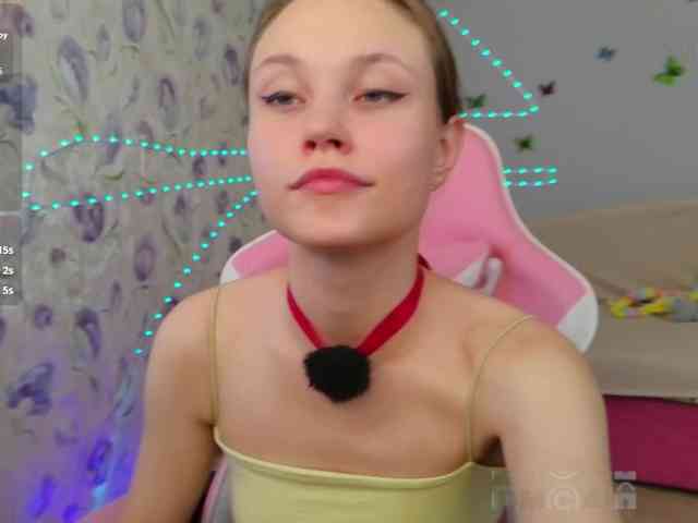 Armura webcam