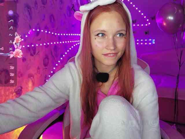Armura webcam