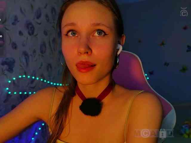 Armura webcam